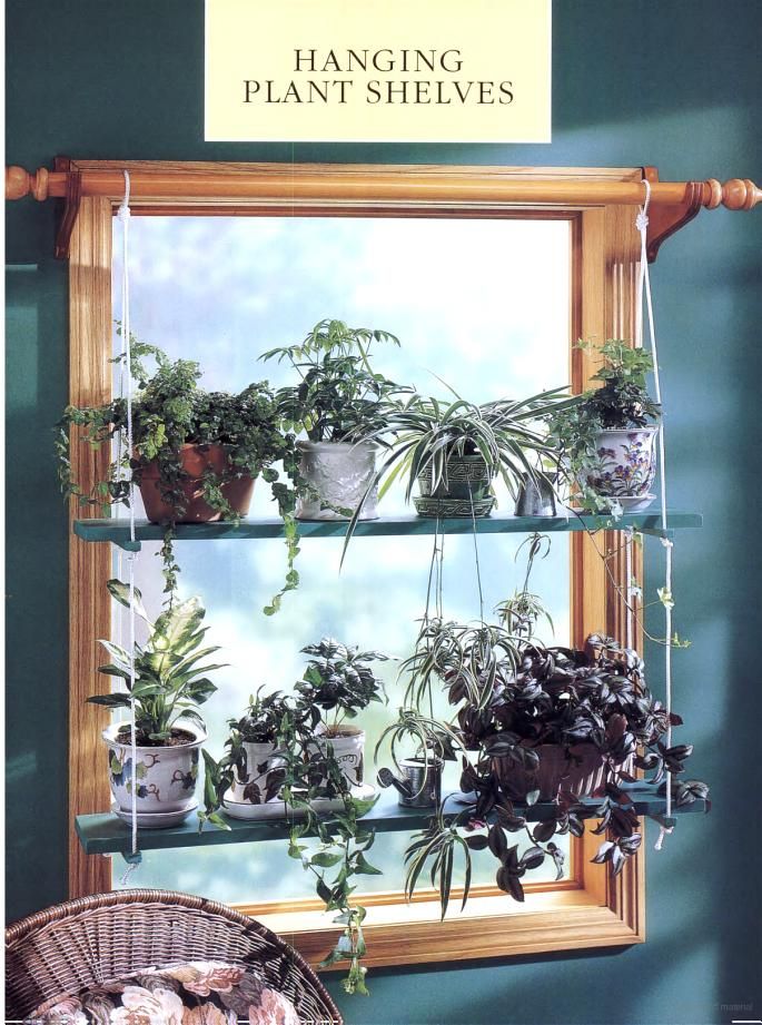 Plant Shelves For Windows
